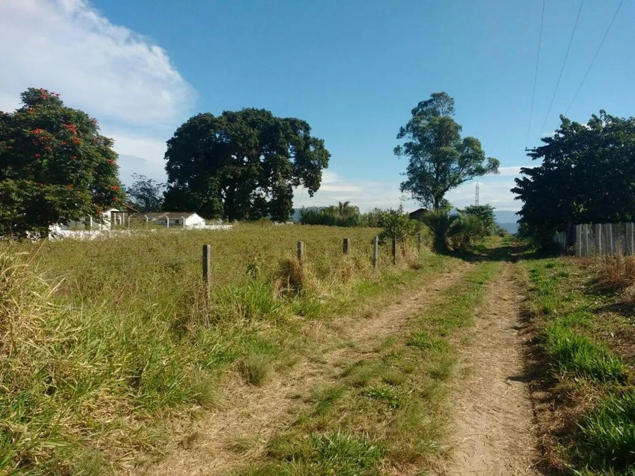 Lote em BR 101 - Alto Arroio - Imbituba/SC - Foto 3