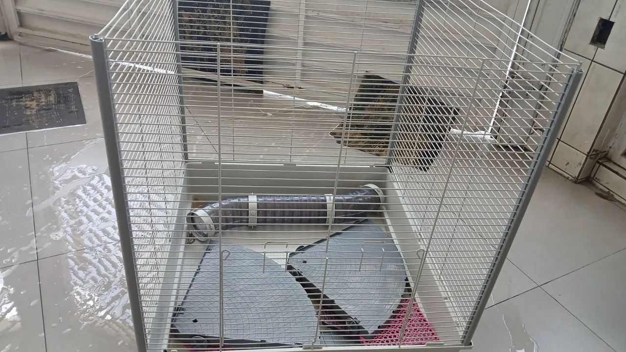 Ferplast Gaiola para furão FURET XL 80 x 75 x 86,5 cm Cinza, GRANDE - Foto 3