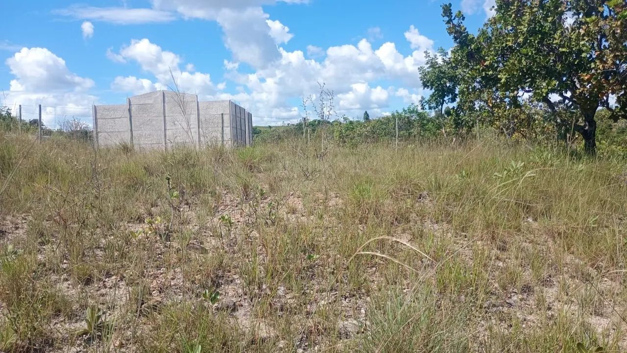 Lote em três ranchos  - Foto 4