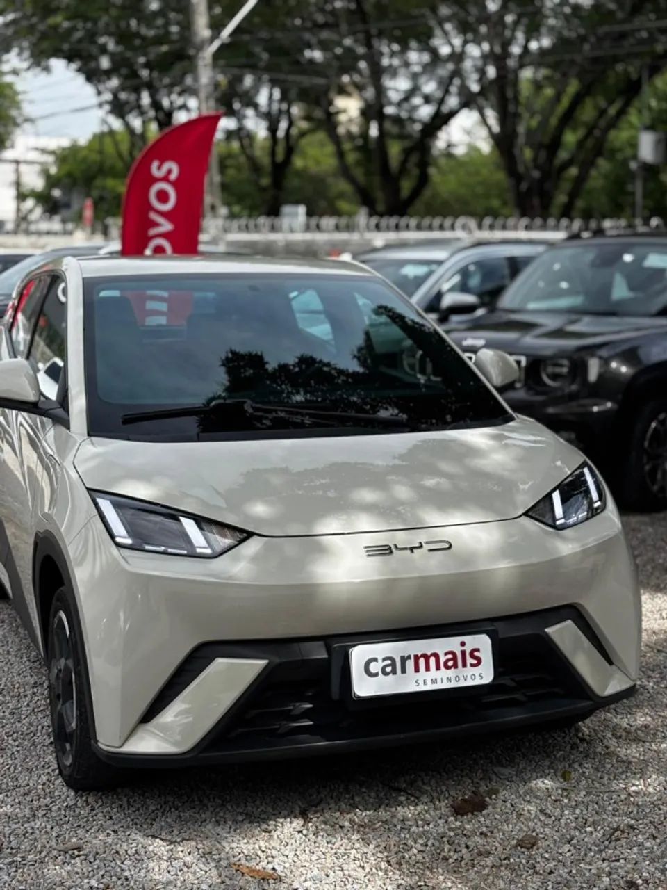 BYD Dolphin Mini (Elétrico) 2025 - Foto 3