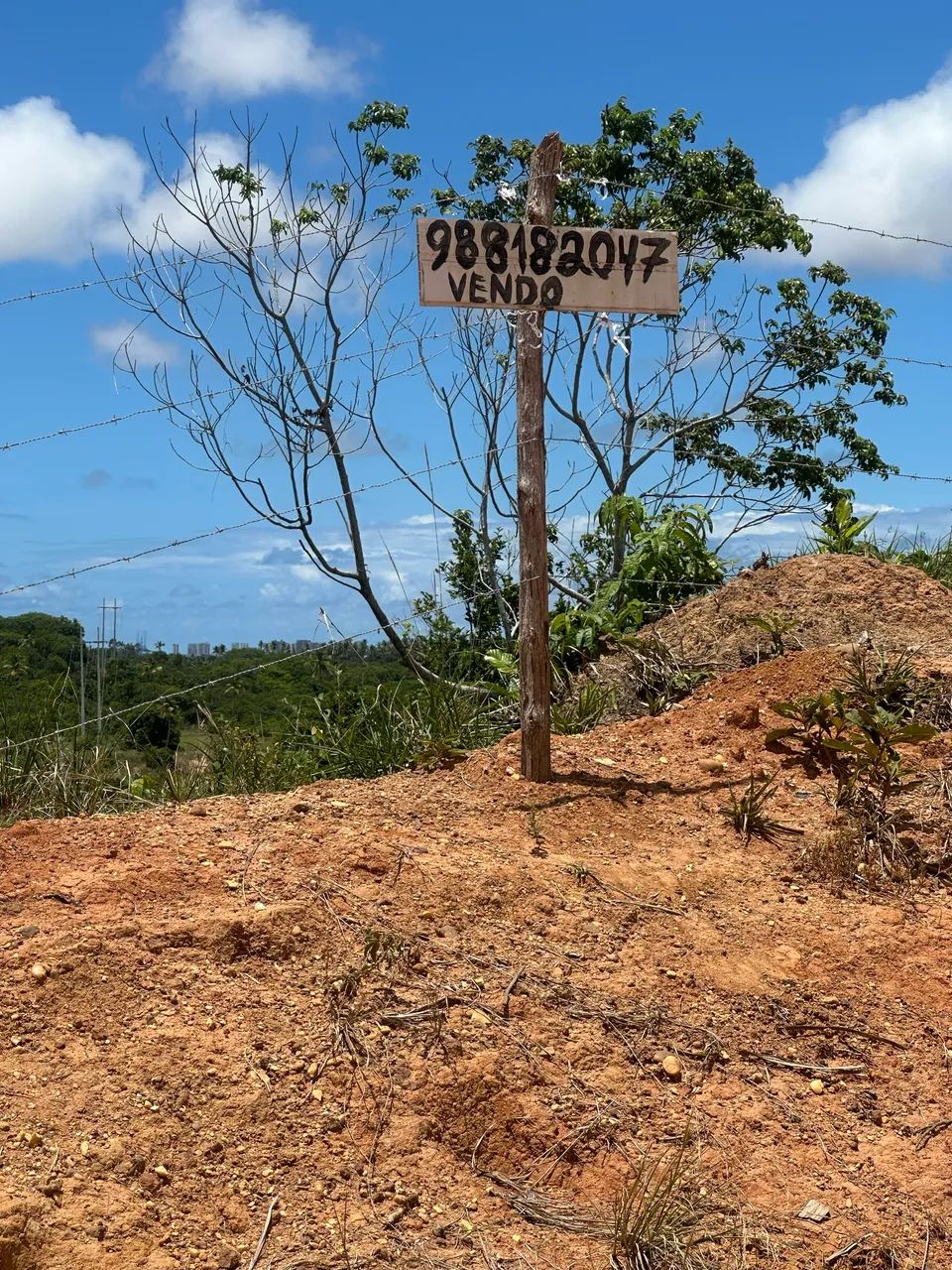 Foto - São Cristóvão - 