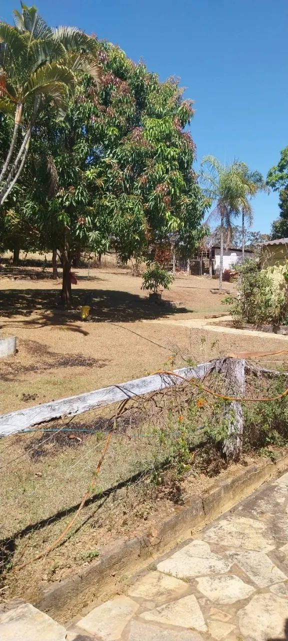 FAZENDA - PRÓXIMA À EDILÂNDIA-GO - Foto 5