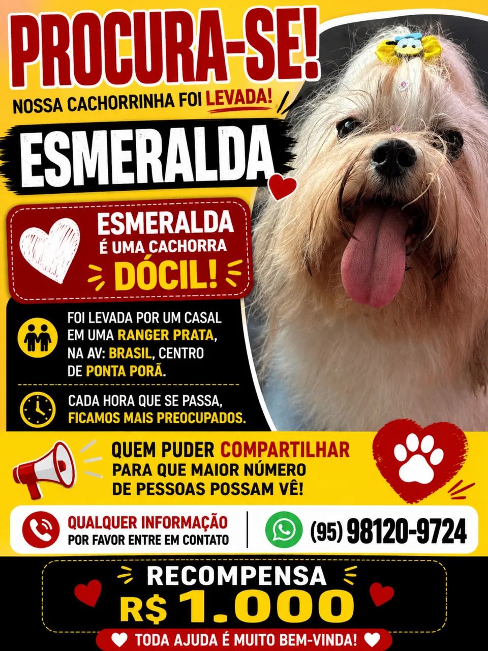 PROCURA-SE 