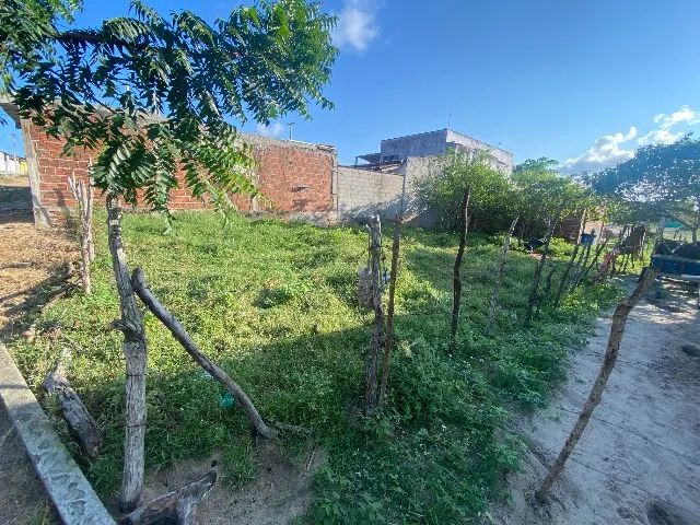 Terreno 200m2 - Foto 4