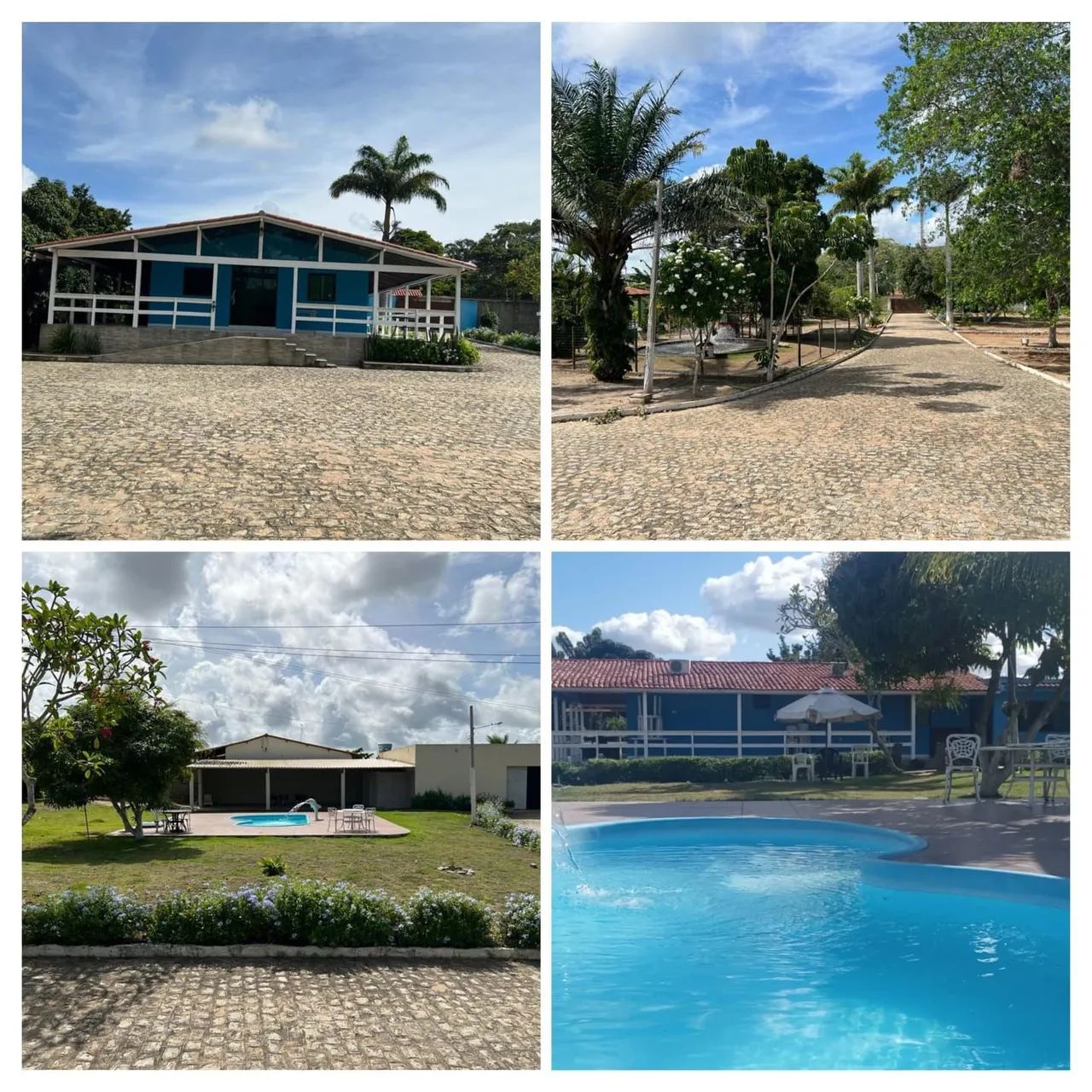 Emternaçoes  - Foto 5