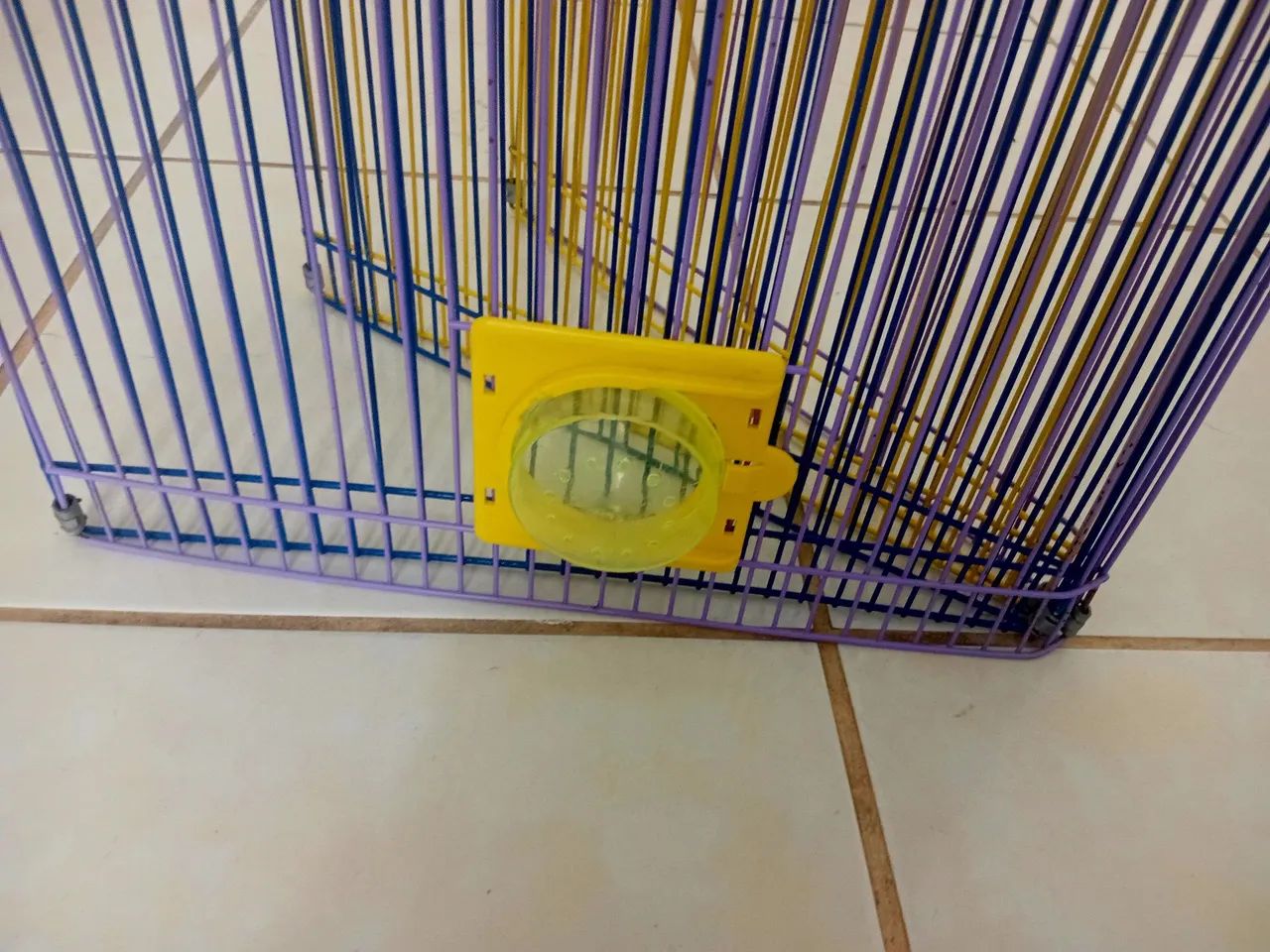 Cercadinho de Hamster (8 lados) - Foto 2