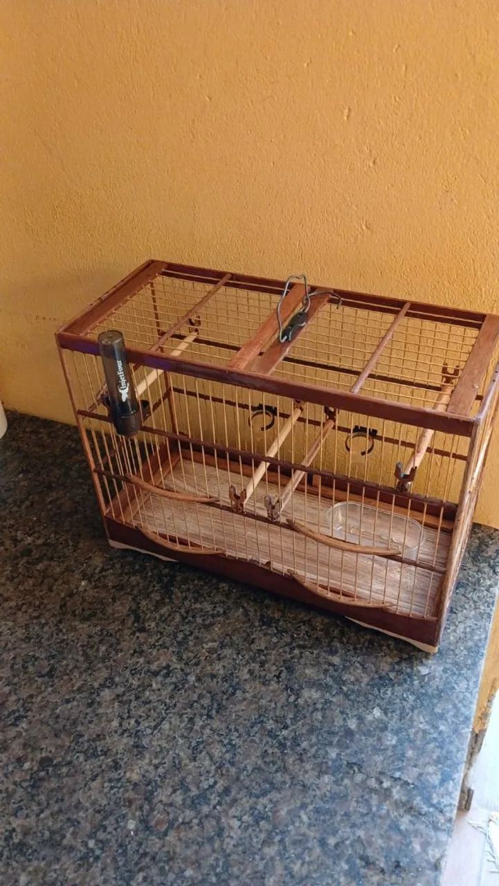 Gaiola voador  - Foto 2