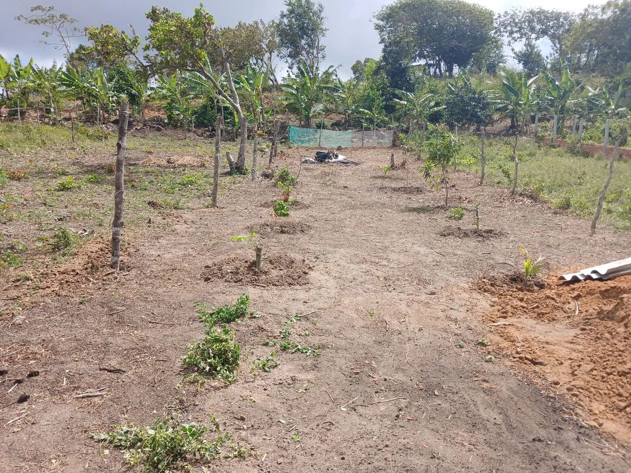 Terreno com casa vender ou trocar em strada  - Foto 2