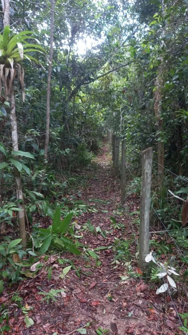Área de terra - Foto 3