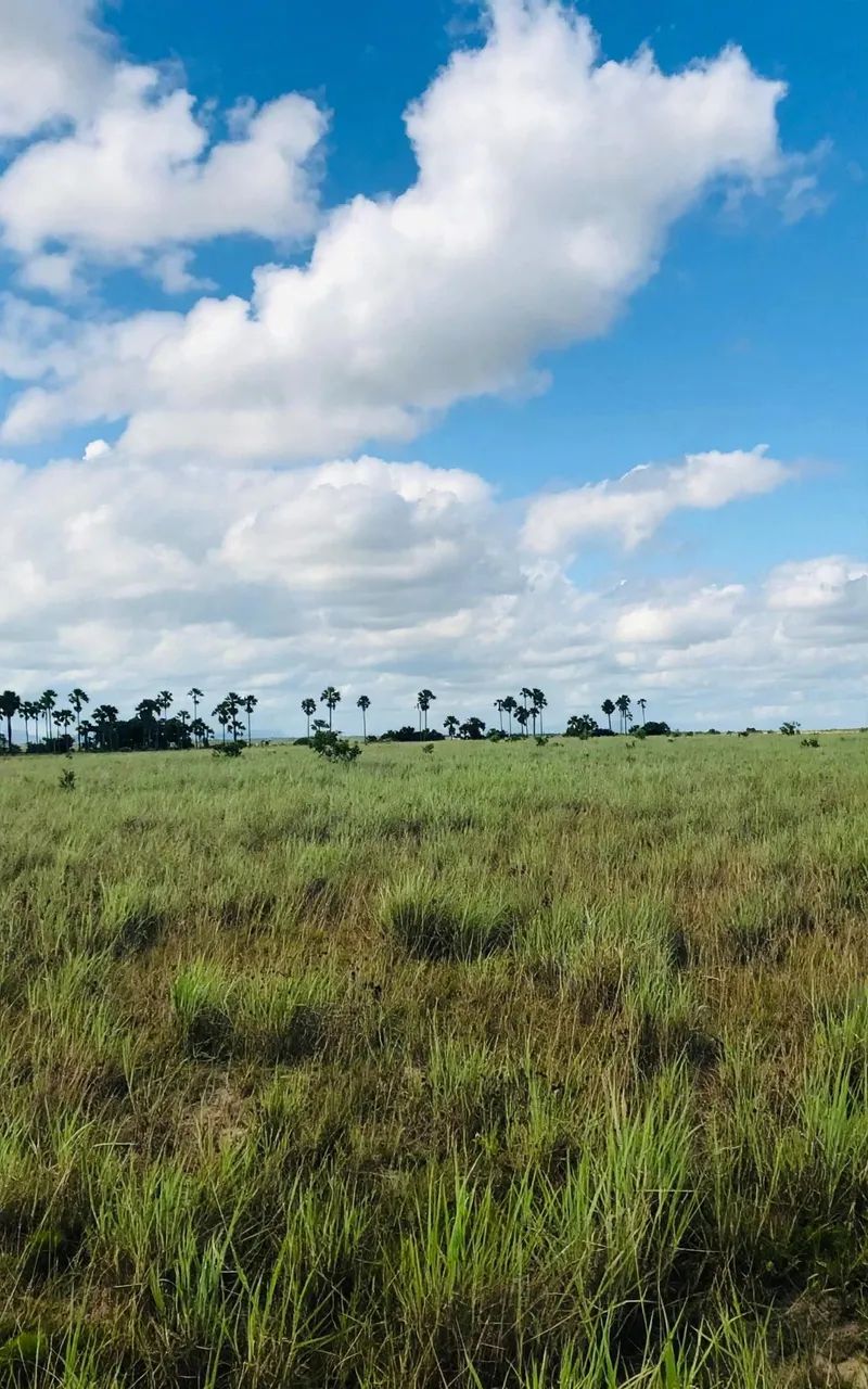 Fazenda para venda , arrendamento ou permuta  - Foto 5