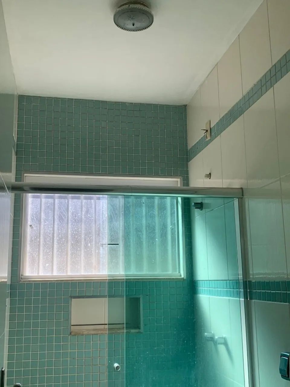 Foto - São José dos Campos - Bosque dos Eucaliptos