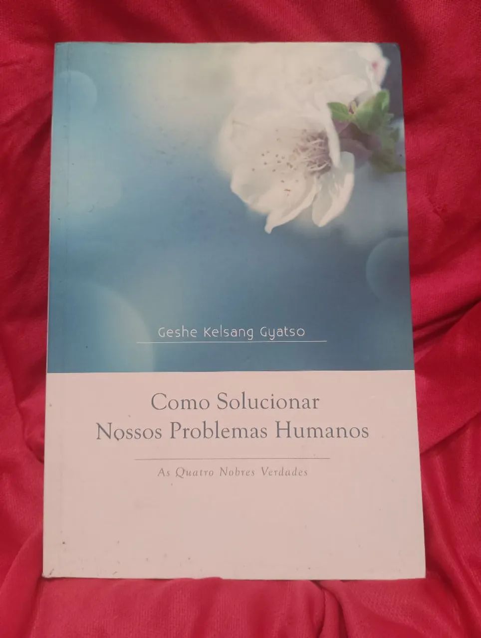 Como Solucionar Nosso Problemas Humanos 