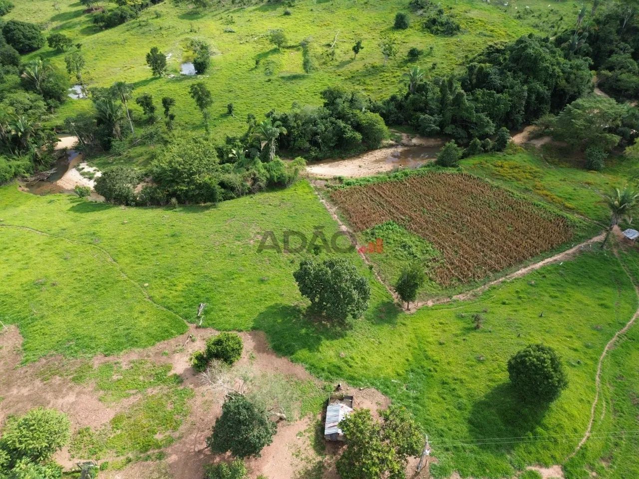 Fazenda Minaçu - Foto 5