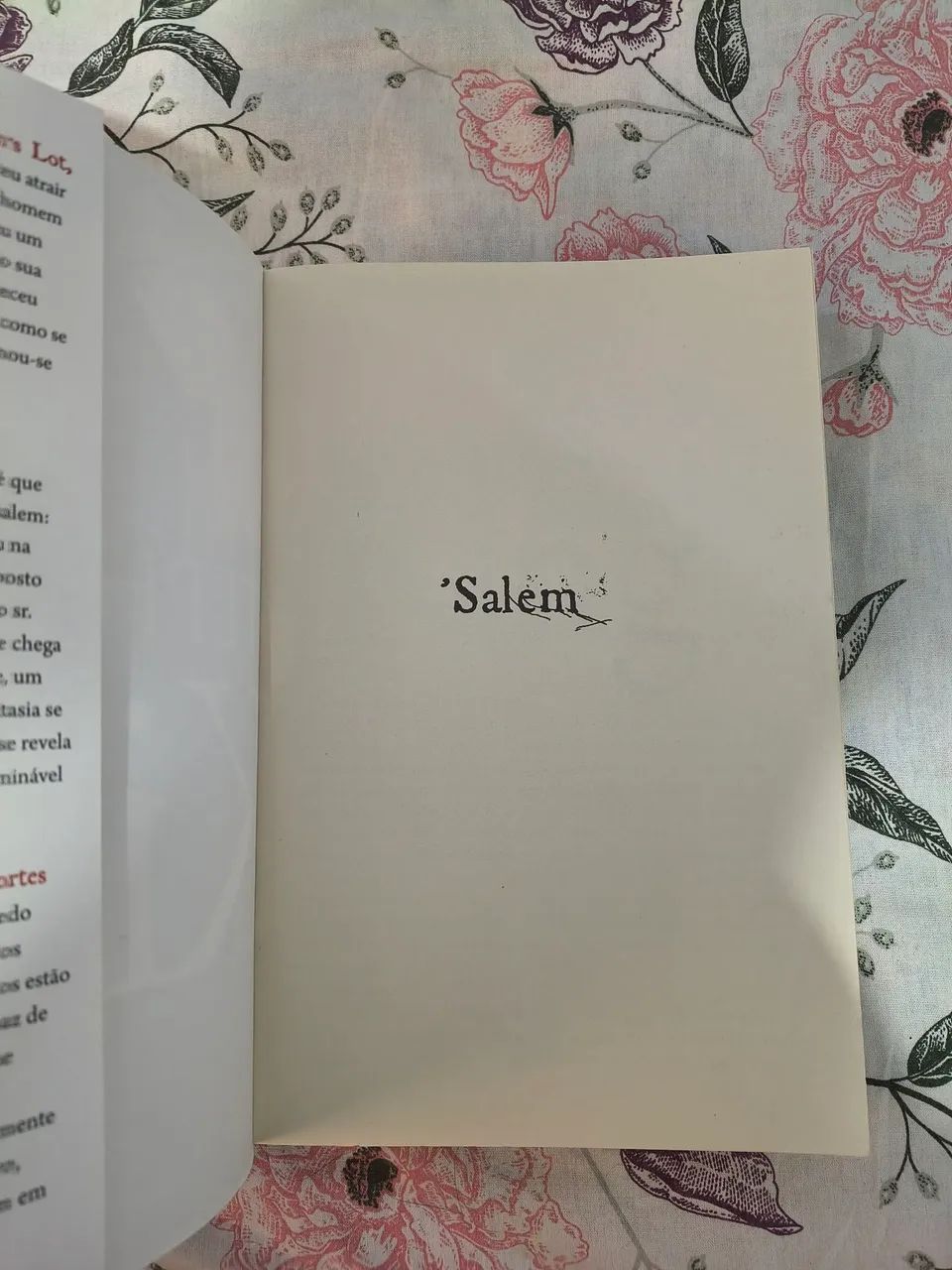 Livro Salem - Foto 3