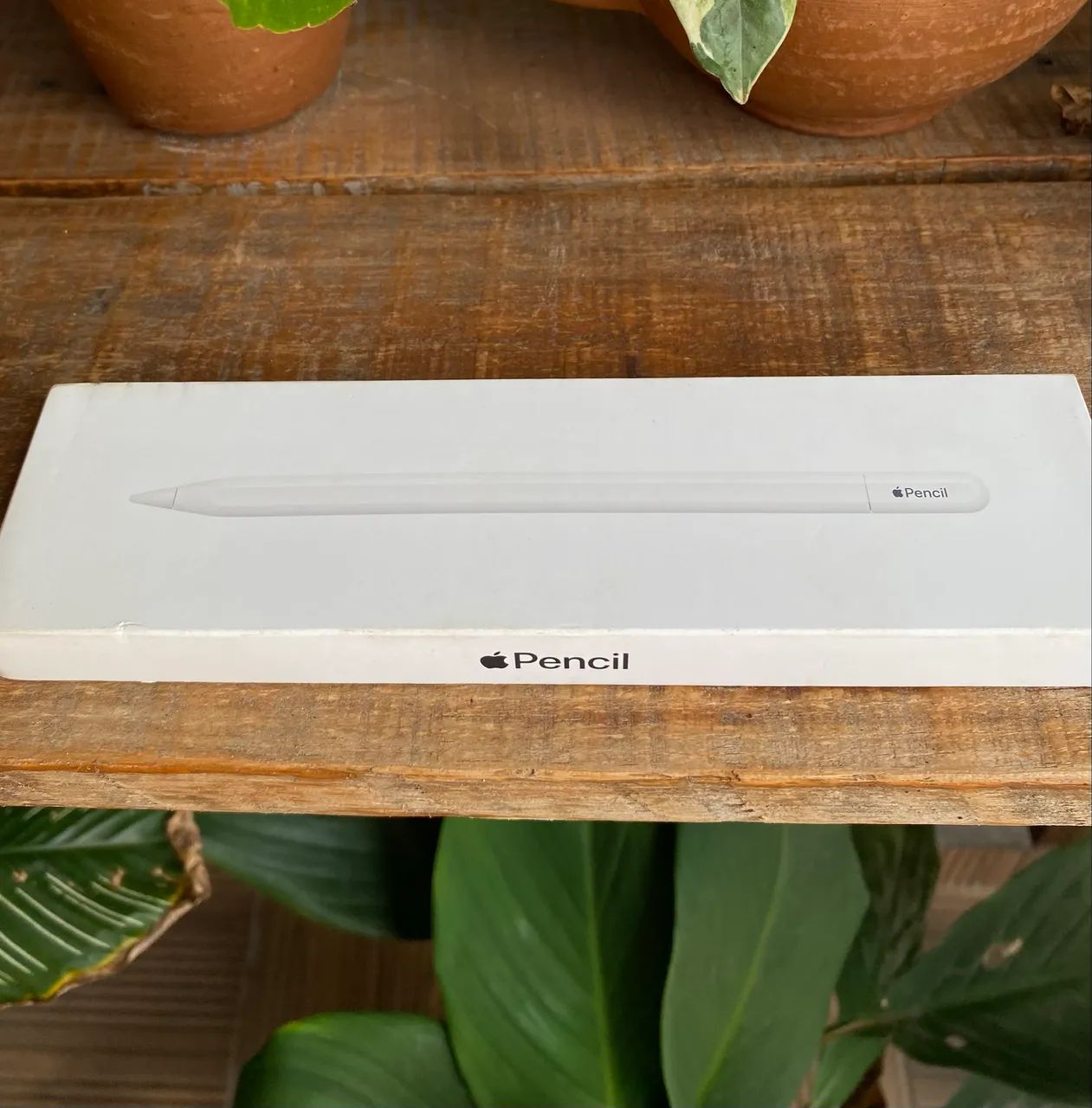 Apple Pencil Usb-c Nova na caixa - Foto 2