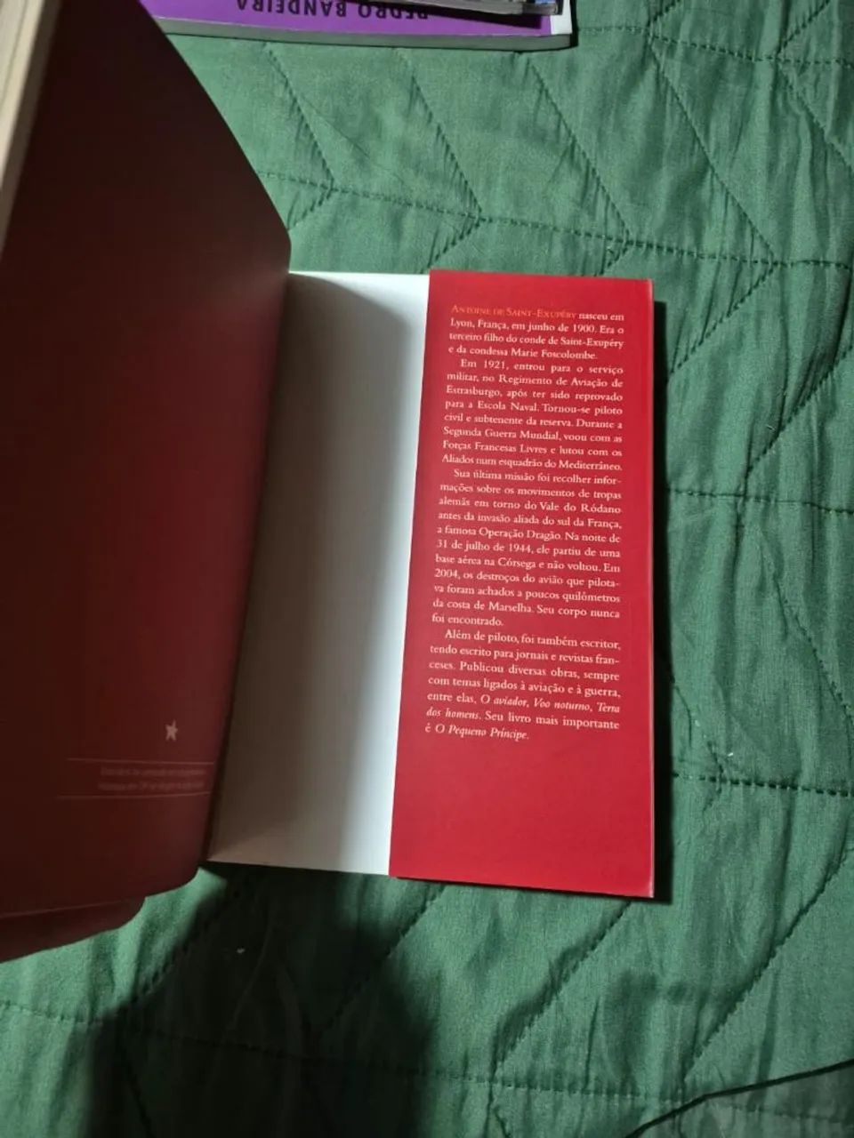 O Pequeno Príncipe  - Foto 3