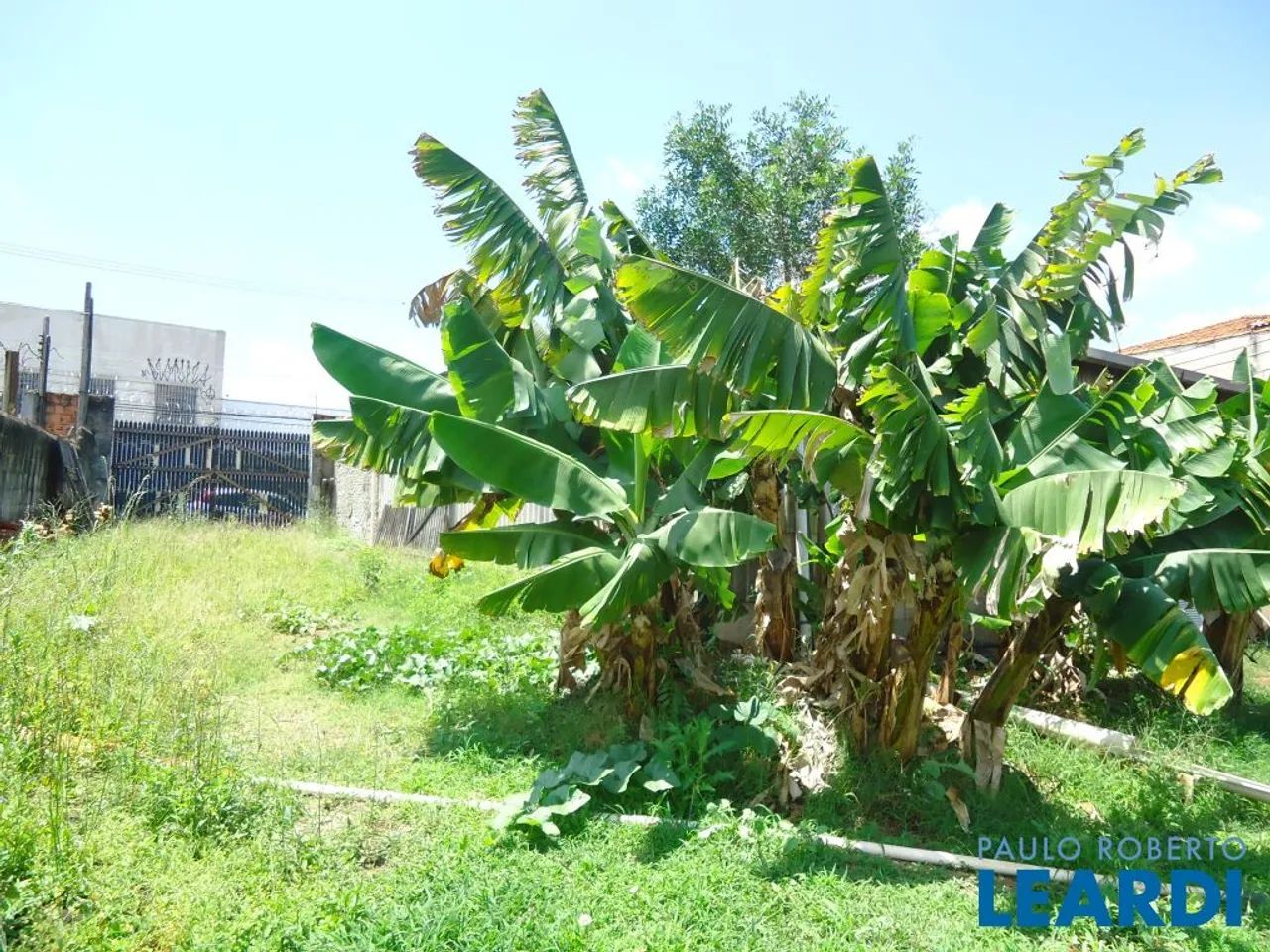 TERRENO - VILA MASCOTE - SP - Foto 3