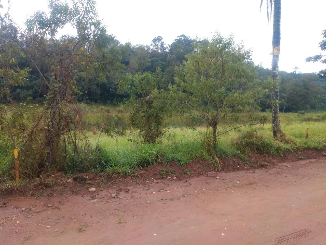 Terreno 340 m² Jarinu.  - Foto 3