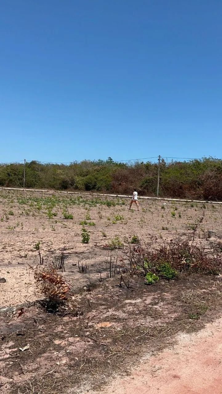 Terreno na Lagoinha paraipaba - Foto 3