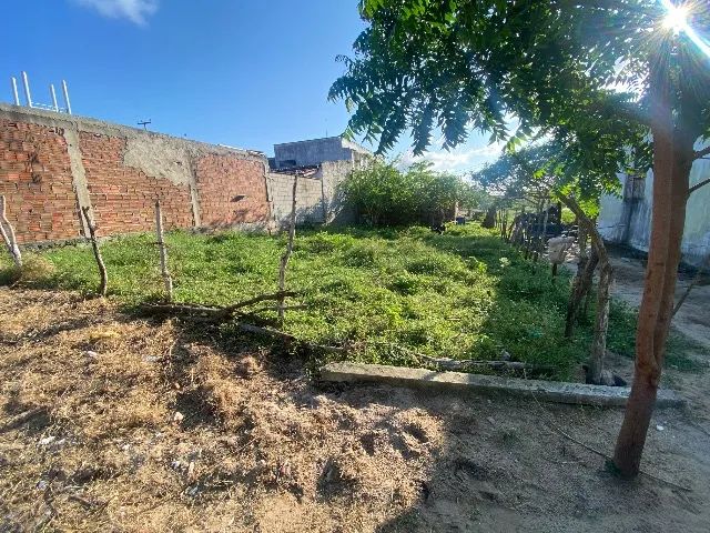 Terreno 200m2