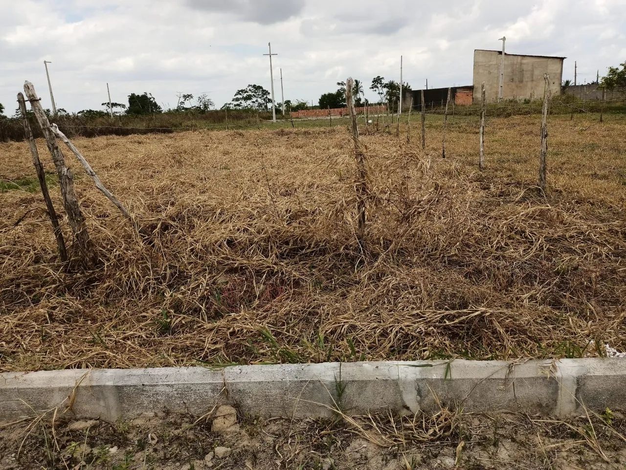 Oportunidade! Lotes de 10x30 no Povoado Tombo - Salgado/SE (Vendo Juntos ou Separados) - Foto 3