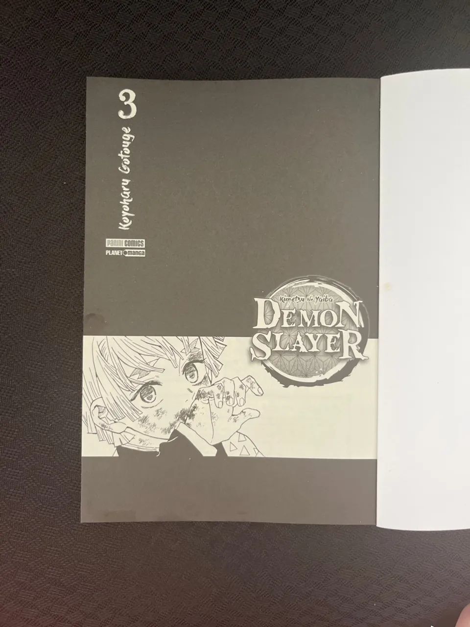 Mangá Demon Slayer Volume 3 - Foto 5