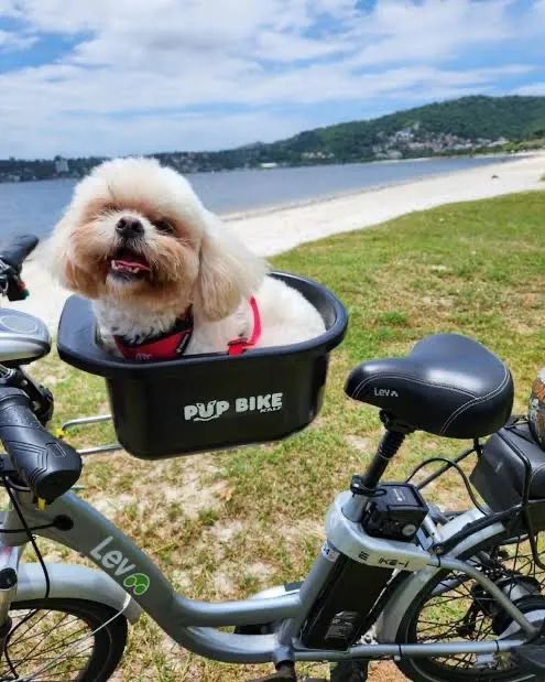 Cesto para transporte de pets - Foto 2