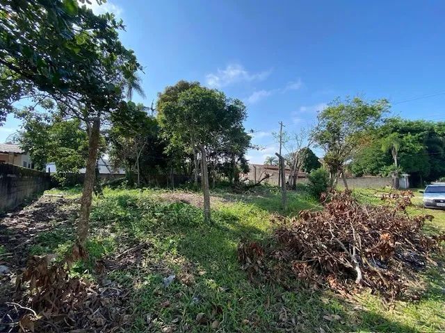 Terreno Ilha Comprida - Area total 554.6m2 - Foto 2