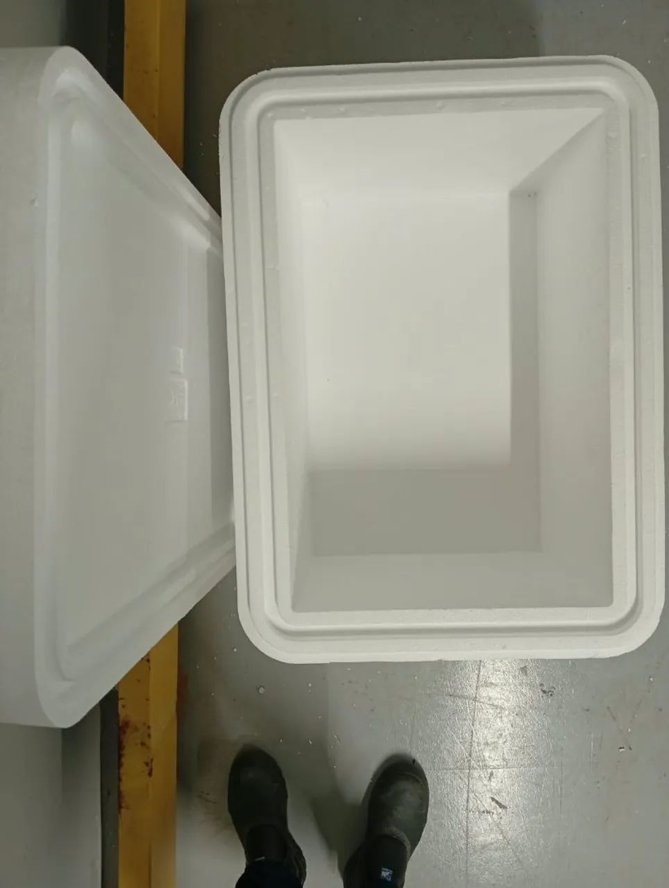 Caixas de isopor  43x65cm 