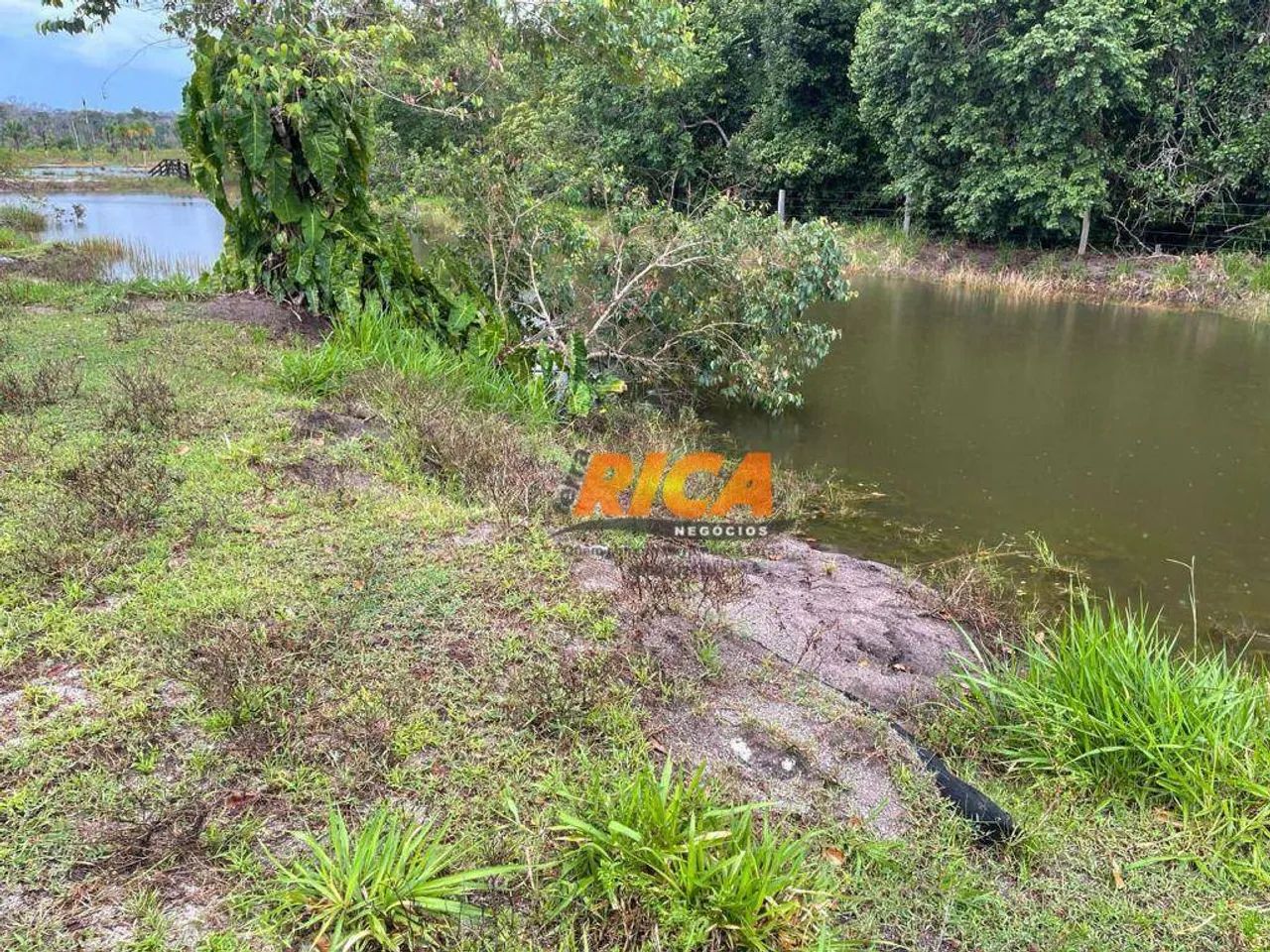 Sítio à venda Porto Velho/RO - Foto 5