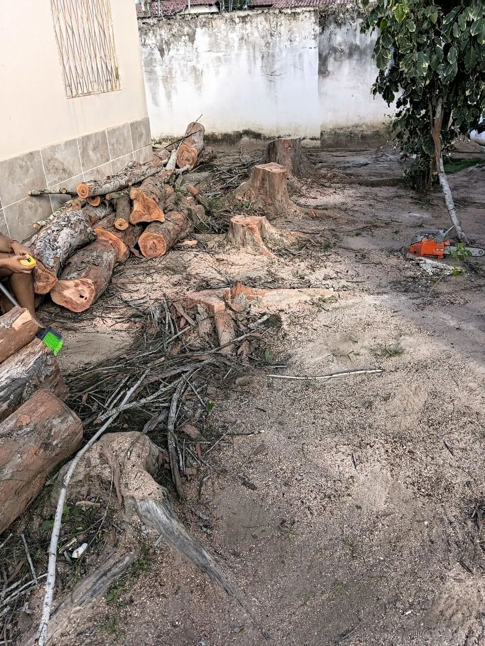 PODA DE ÁRVORES & LIMPEZA DE TERRENOS - Foto 3