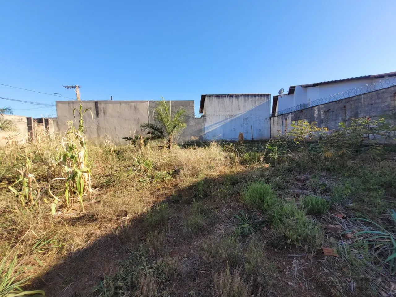 Terreno Padrão em Uberlândia - Foto 5