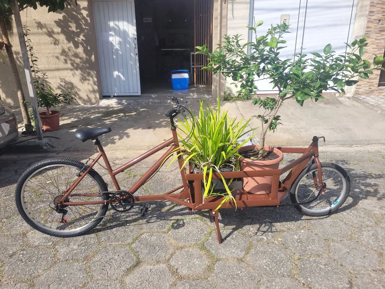 Bicicleta de carga estilo EUROPA  - Foto 5