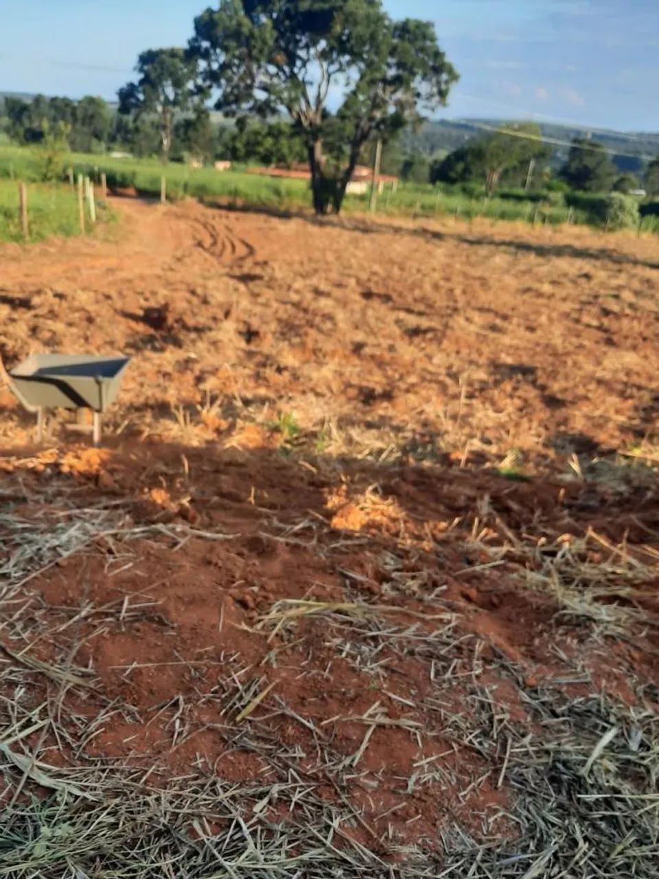 Sitio a venda Curvelo/Paraopeba - Foto 5