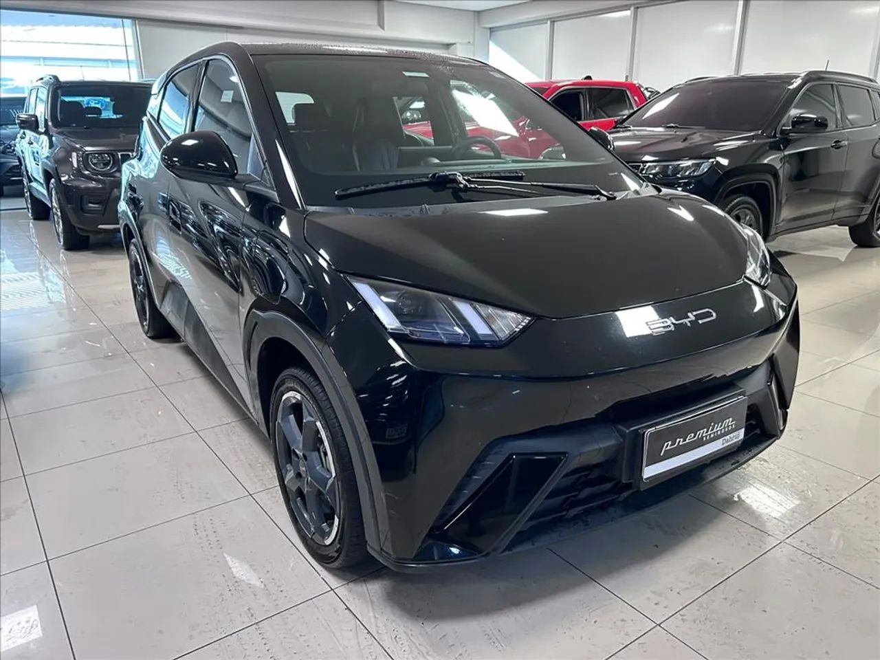BYD Dolphin Mini (Elétrico) 2025 - Foto 2