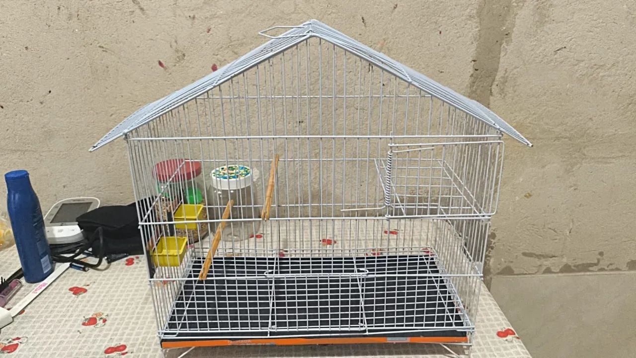 Gaiola para pequenas aves 