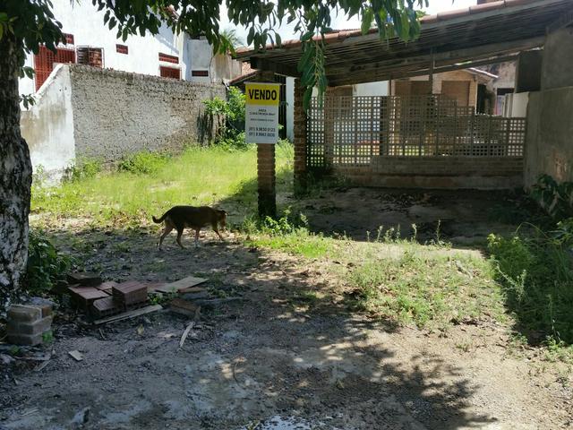 Terreno em Tamandare - Foto 3