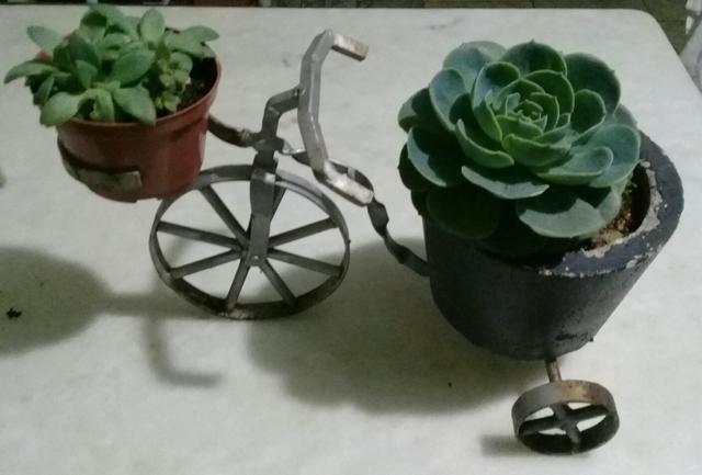Bicicletinha floreira artesanais