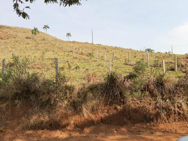Chácara de 23.5 Alqueires com 22.5 alqueires de pasto - Faxinal do Céu. Pinhão- PR - Foto 6
