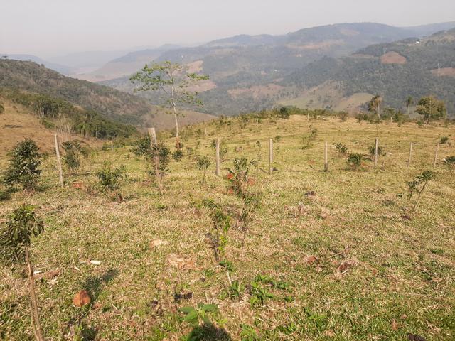 Chácara de 23.5 Alqueires com 22.5 alqueires de pasto - Faxinal do Céu. Pinhão- PR - Foto 19