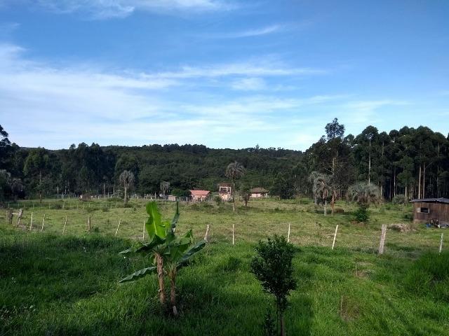 Alugo sitio 2,5 hectares - Foto 5