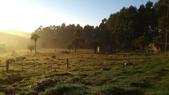 Alugo sitio 2,5 hectares - Foto 3