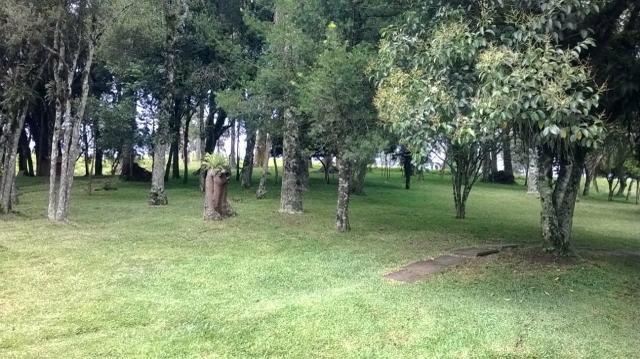 Maravilhoso Sítio - 10 hectares - Lages - Foto 4
