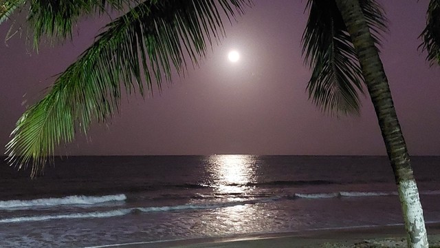 Casa para alugar em Tamandaré condomínio beira mar  - Foto 7