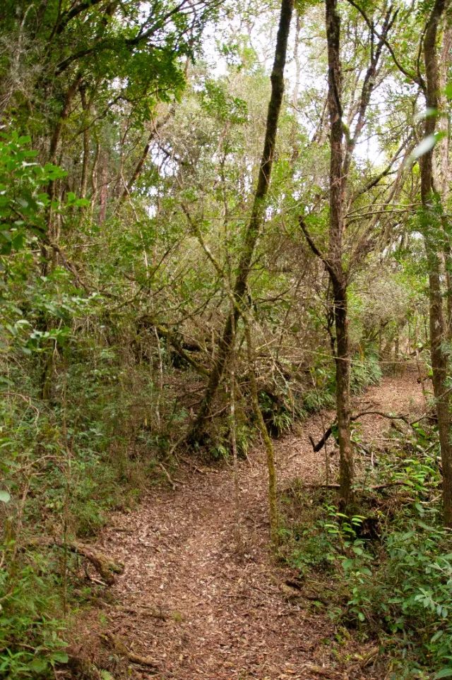 Vende-se Pousada próxima à Monte Verde MG - Foto 8