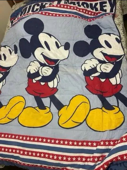 Edredom Dupla Face Solteiro Disney 01 Peça