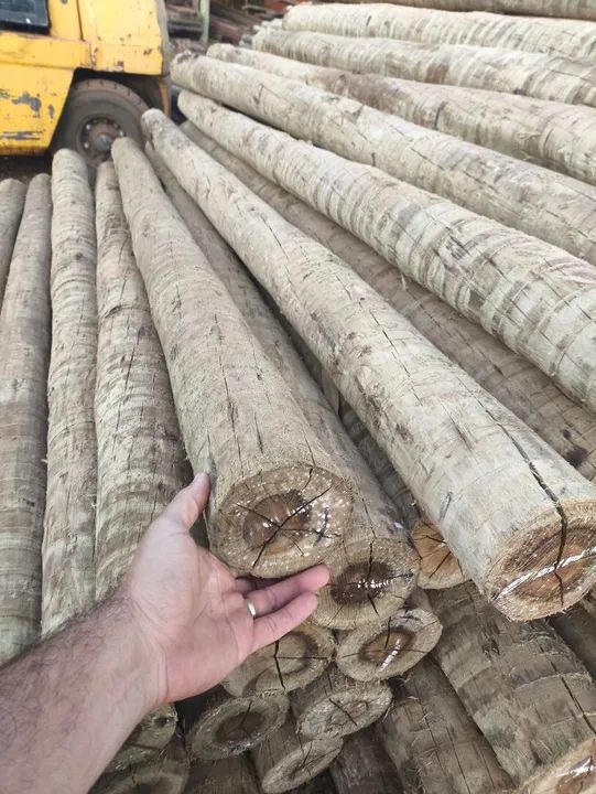 Eucalipto tratado cercas construção currais assoalho prancha  porteiras - Foto 3