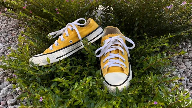 Converse all star amarelo hot sale mostarda