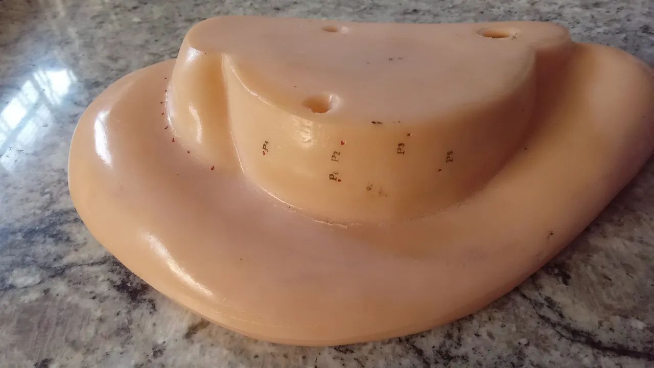MODELO DE ORELHA pra  ESTUDO de ACUMPUTURA  - Foto 3