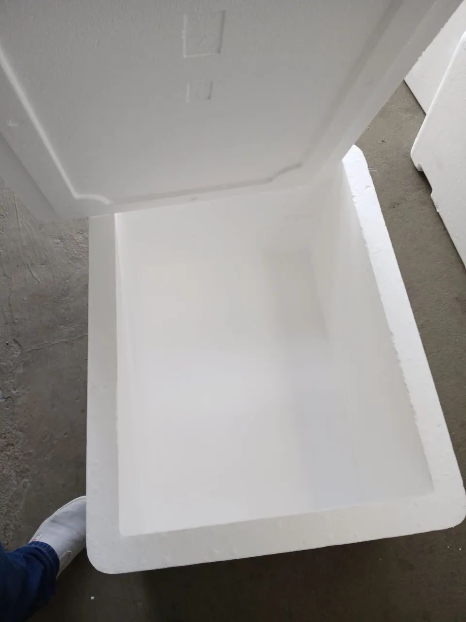 Caixas Térmicas de Isopor para Transporte e Conservação - Foto 2